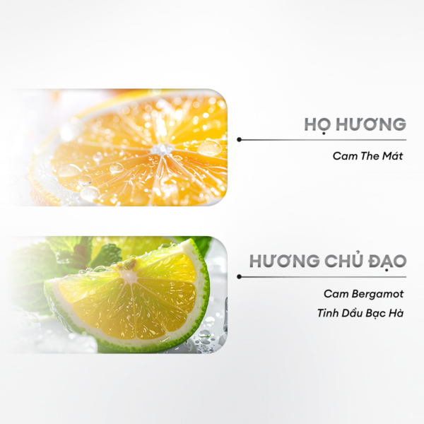 tha-nh-pha-n-mu-i-hu-o-ng-46a07f02-b4a8-4fa8-9d99-159077fdfb77 Dung dịch vệ sinh làm sạch & ngăn mùi hiệu quả 80ml