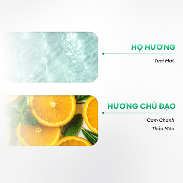 Dầu gội sạch gàu 250ml