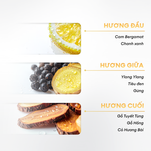 Sữa tắm sạch khuẩn, khử mùi hương tinh dầu thiên nhiên